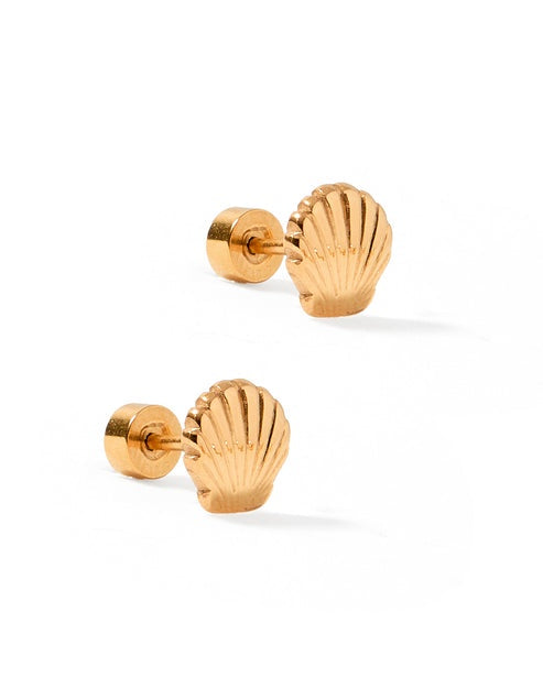 Marina Shell Screwback Studs