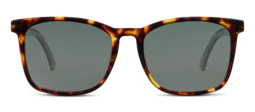 Mateo Polarized Sun - Tortoise